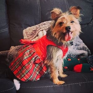 Meet your Posher, Kristi